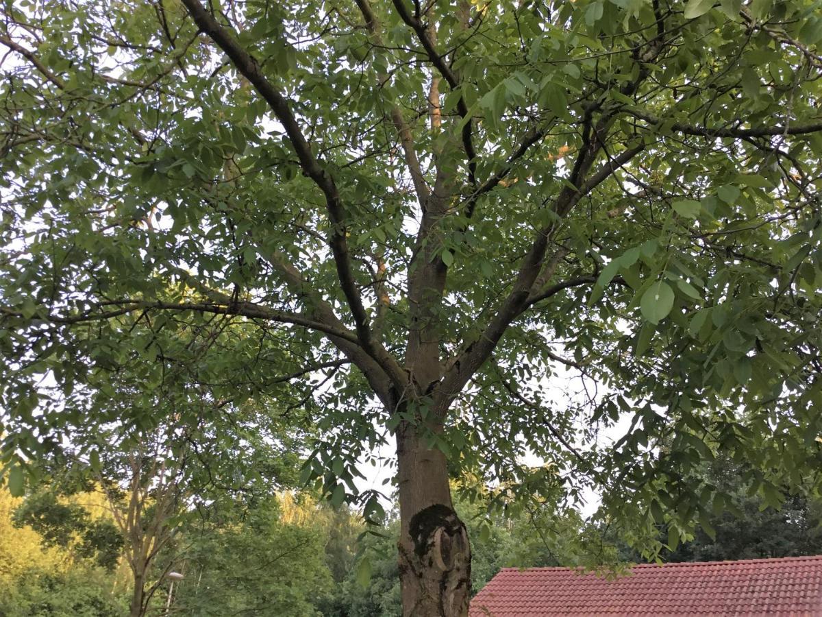 B&B Op 'T Eikenschoor Soerendonk Luaran gambar